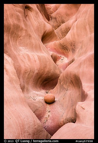 Sandstone waves and stone, High Spur slot canyon, Orange Cliffs Unit, Glen Canyon National Recreation Area, Utah. USA