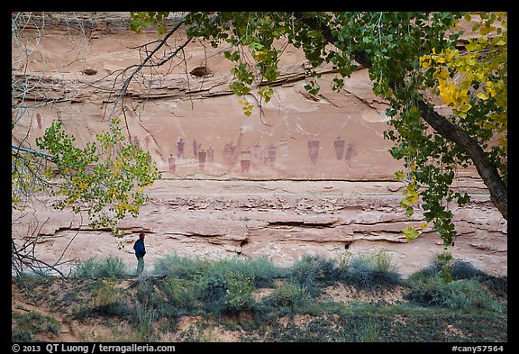Park visitor looking, the Great Gallery,  Horseshoe Canyon. Canyonlands National Park (color)