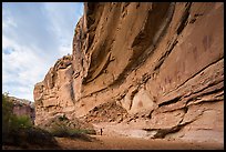 Hiker looking, the Great Gallery, Horseshoe Canyon. Canyonlands National Park, Utah, USA. (color)