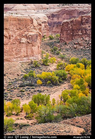 Horseshoe Canyon from the rim in autumn. Canyonlands National Park (color)