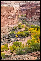 Horseshoe Canyon from the rim in autumn. Canyonlands National Park ( color)