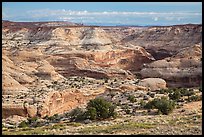 Horseshoe Canyon rim. Canyonlands National Park ( color)