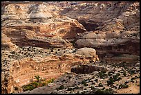 Horseshoe Canyon rims. Canyonlands National Park ( color)
