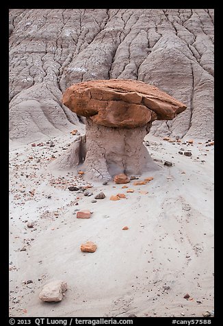 Mushroom rock and bentonite badlands, Orange Cliffs Unit, Glen Canyon National Recreation Area, Utah. USA (color)