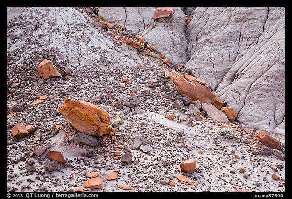 Rocks and clay badlands, Orange Cliffs Unit, Glen Canyon National Recreation Area, Utah. USA