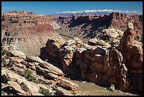 Surprise Valley, Colorado River, and snowy mountains. Canyonlands National Park, Utah, USA. (color)