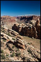 Surprise Valley, Colorado River seen from Dollhouse. Canyonlands National Park, Utah, USA. (color)