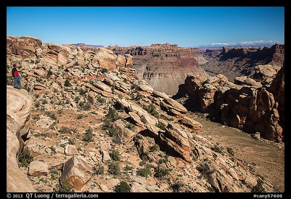 Park visitor looking, Surprise Valley overlook. Canyonlands National Park (color)