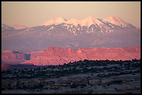Distant Island in the Sky cliffs and La Sal mountains. Canyonlands National Park ( color)