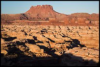 Chocolate drops, Maze canyons, and Elaterite Butte, early morning. Canyonlands National Park ( color)