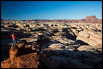 Park visitor looking, Maze canyons. Canyonlands National Park ( color)