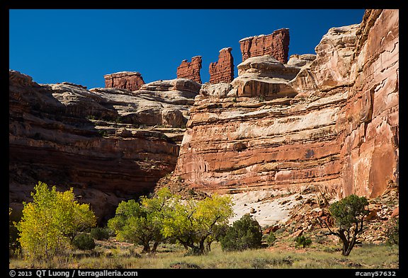 Cottonwoods, canyon walls, and Chocolate Drops. Canyonlands National Park (color)