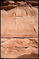 Looking up canyon wall with Harvest Scene pictographs. Canyonlands National Park ( color)