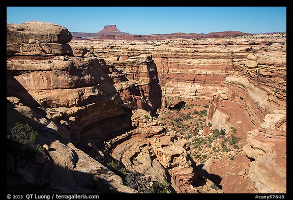 Curved Cedar Mesa sandstone canyons from the rim, Maze District. Canyonlands National Park, Utah, USA.
