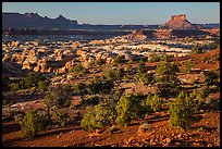 Maze seen from Chimney Rock, late afternoon. Canyonlands National Park ( color)