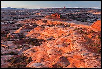 Jasper Canyon from Petes Mesa at sunrise, Maze District. Canyonlands National Park ( color)