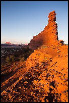 Bishops Member at sunset, Maze District. Canyonlands National Park, Utah, USA. (color)
