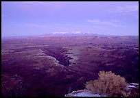 Side Gorge seen from Grand View Point, dusk, Island in the Sky. Canyonlands National Park ( color)