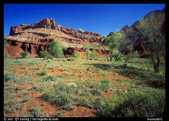 Castle Meadow and Castle, spring. Capitol Reef National Park, Utah, USA.