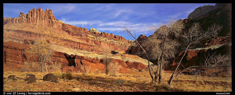 Cottonwoods in fall and Castle rock formation. Capitol Reef National Park (color)