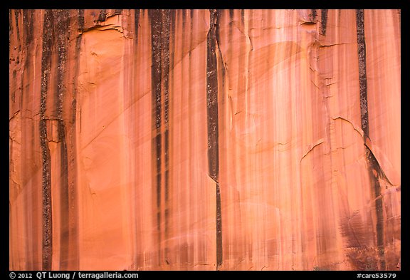 Sandstone cliff with desert varnish. Capitol Reef National Park, Utah, USA.