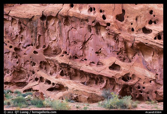 Sandstone cliff wall with holes, Grand Wash. Capitol Reef National Park, Utah, USA.