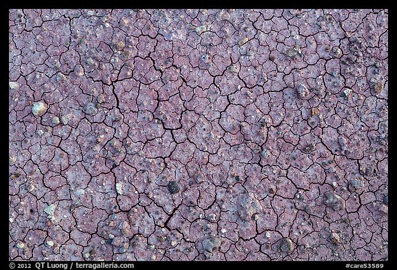 Mud cracks and rocks. Capitol Reef National Park, Utah, USA.