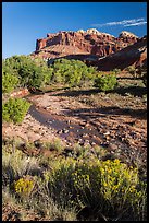 Stream and cliffs. Capitol Reef National Park ( color)