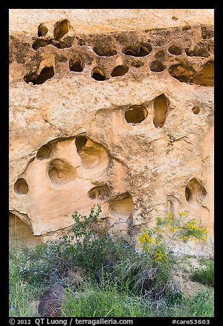 Rock with holes, Fremont River gorge. Capitol Reef National Park, Utah, USA.