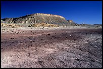 Colorful Bentonite flats and cliffs. Capitol Reef National Park, Utah, USA. (color)