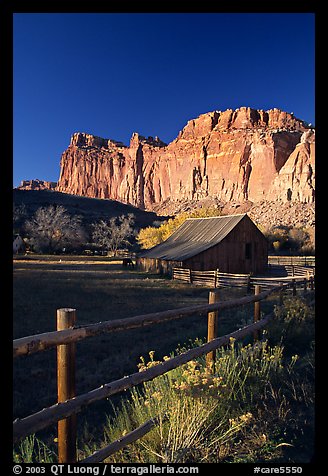 Fence, Old barn, horse and cliffs, Fruita. Capitol Reef National Park, Utah, USA.