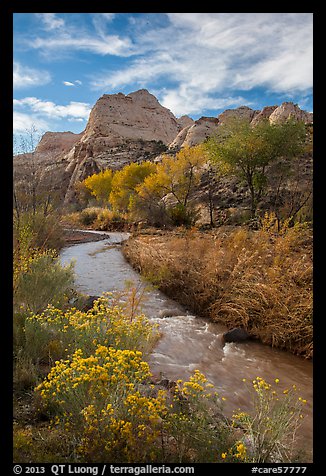 Fremont River, shrubs and trees in fall. Capitol Reef National Park (color)