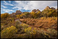 Fremont River Canyon in fall. Capitol Reef National Park ( color)