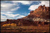 Late afternoon light on Castle and cottowoods in autumn. Capitol Reef National Park, Utah, USA. (color)