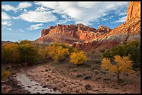 Sulphur Creek, trees in fall foliage, and Castle, Fruita. Capitol Reef National Park ( color)