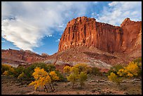 Cliffs towering above Fruita trees in autumn, sunset. Capitol Reef National Park, Utah, USA. (color)
