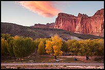 Fruita Campground and cliffs at sunset. Capitol Reef National Park, Utah, USA. (color)