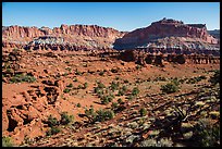 Junipers and Mummy cliffs. Capitol Reef National Park ( color)
