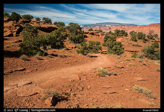 Trail near Sunset Point. Capitol Reef National Park (color)