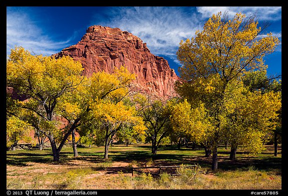 Fruita orchard and cliff in autumn. Capitol Reef National Park (color)
