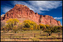 Historic orchard and cliff in autumn, Fruita. Capitol Reef National Park, Utah, USA. (color)
