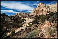 Trail and Navajo Dome. Capitol Reef National Park ( color)