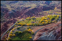 Fruita historic orchards from above in autumn. Capitol Reef National Park ( color)