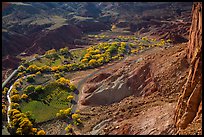 Fruita in the fall from Rim Overlook. Capitol Reef National Park, Utah, USA. (color)