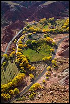 Fruita orchards in the fall, seen from above. Capitol Reef National Park ( color)