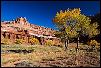 Castle Meadow and Castle in autumn. Capitol Reef National Park ( color)