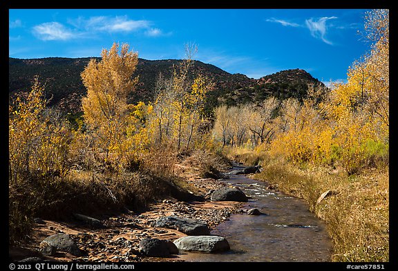 Pleasant Creek in autumn. Capitol Reef National Park, Utah, USA.