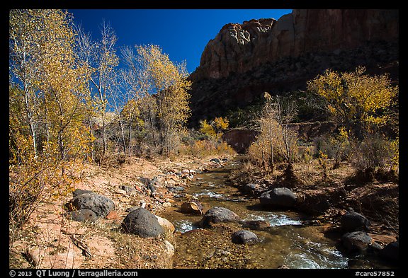 Pleasant Creek, cottowoods, and cliff in autumn. Capitol Reef National Park, Utah, USA.