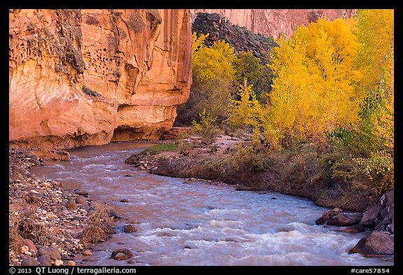 Fremont River, cottonwoods, and cliffs in autumn. Capitol Reef National Park, Utah, USA.