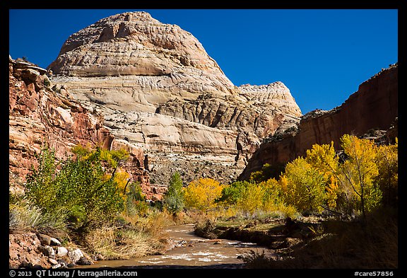 Capitol Dome in autumn. Capitol Reef National Park, Utah, USA.
